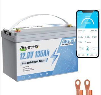 Аккумуляторная батарея BTC Worth 12.8V 135Ah 38069/8 фото